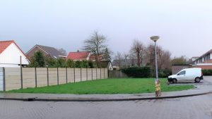 Parkeerperikelen Molengang Anna Paulowna