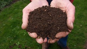 Gratis compost ophalen