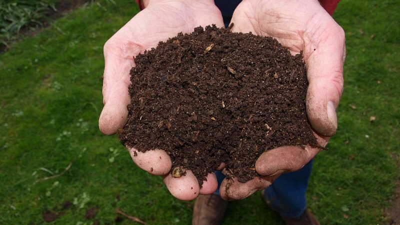 Gratis compost ophalen