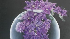 Expositie bieb Schagen
