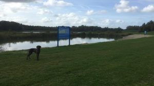 Schagen betaalt tien jaar lang uittreedsom