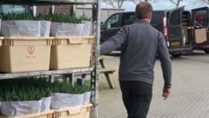 Tulpen fleuren bewoners zorgcentra op