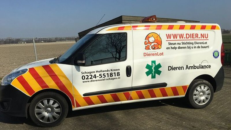 Meer dieren opgevangen in het asiel