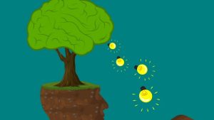 Meedenken over groene energie