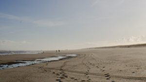 Nieuwe poging voor strandhuisjes Petten