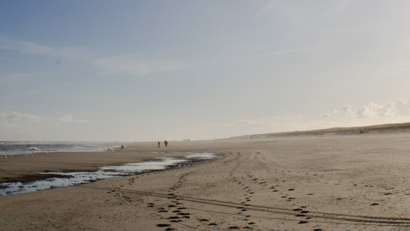 Nieuwe poging voor strandhuisjes Petten