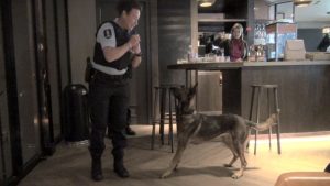 Oefening Marechaussee bij Kinepolis