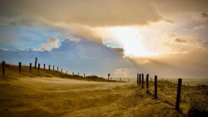 Art Callantsoog gaat niet door