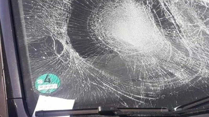 Vandalen slopen autoruit in Callantsoog