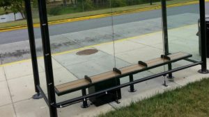 Belbus steeds populairder