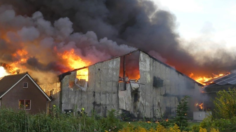 Felle brand bij Flowerbulbs in ‘t Veld (update)