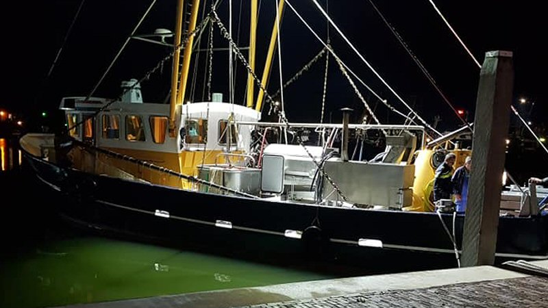 Vandalen slaan toe in Den Oever