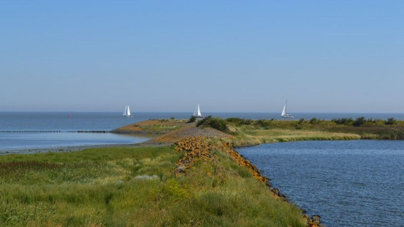 Wie maakt een mooie foto in Hollands Kroon?