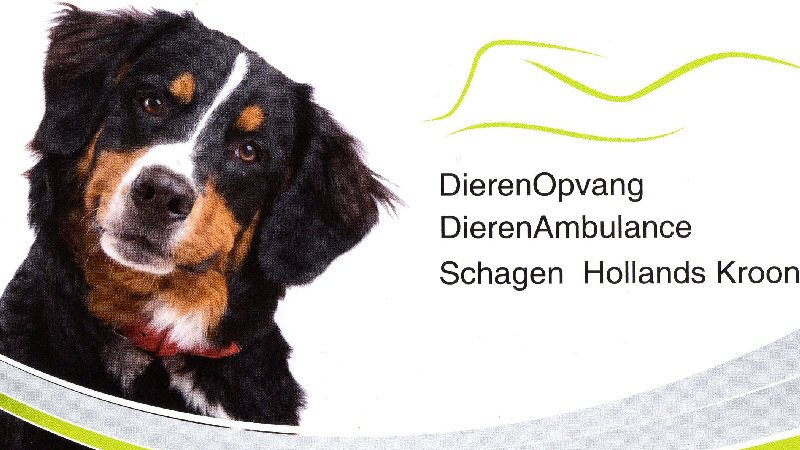 Virtuele dierendag week bij de Dierenopvang