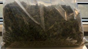 Burgemeester sluit weer drugspand in Hippo