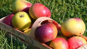 LTO deelt appeltjes uit aan de zorg