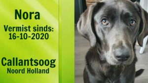 Nora al dertien dagen zoek