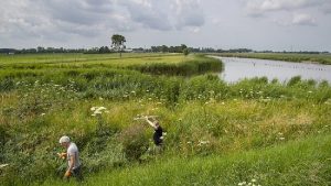 Meer biodiversiteit kanaal Omval-Kolhorn