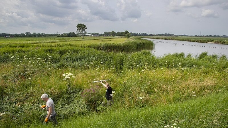Meer biodiversiteit kanaal Omval-Kolhorn