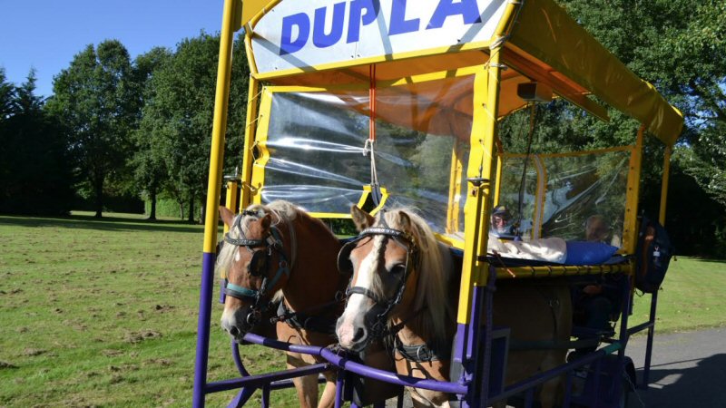 Stichting Dupla bestaat 25 jaar