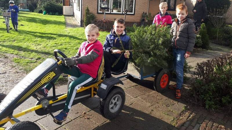 Kerstbomen inzamelen voor Charley