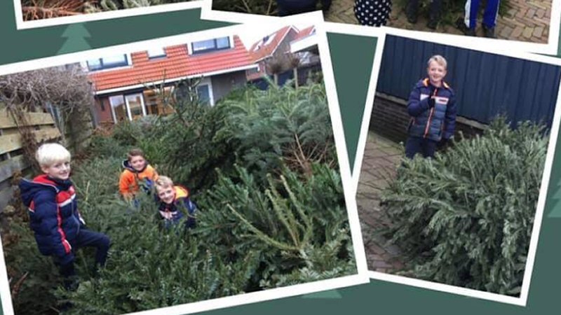 Dankzij oude bomen aandacht voor bacteriofagen