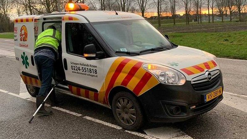 Dierenambulance rolt de sloot in
