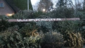 Ruim 2.000 kerstbomen voor Charley