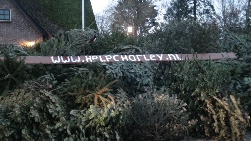 Ruim 2.000 kerstbomen voor Charley