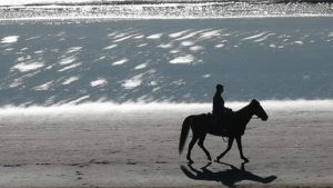 Paard rijdt vrouw omver (Update)