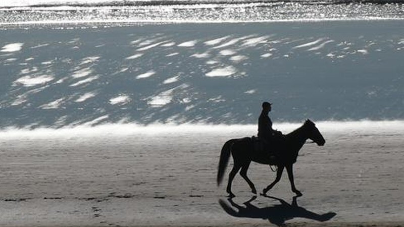 Paard rijdt vrouw omver (Update)