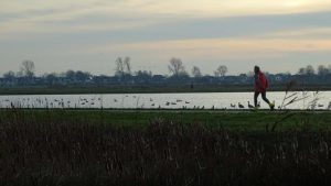 Shortlist Wandelroute van het Jaar 2021 bekend