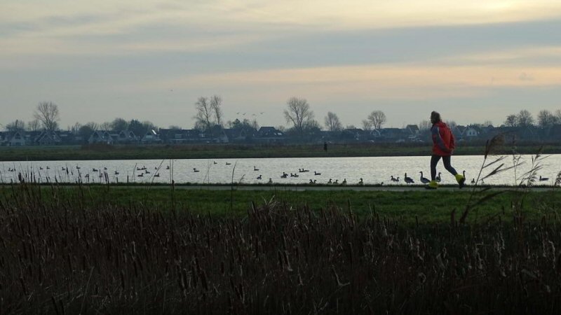 Shortlist Wandelroute van het Jaar 2021 bekend