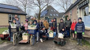 Tulpentijgers bezorgen 250 bossen tulpen