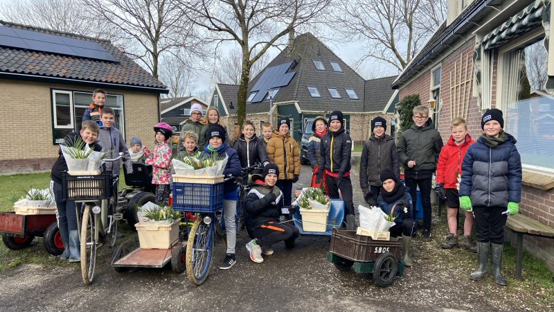 Tulpentijgers bezorgen 250 bossen tulpen
