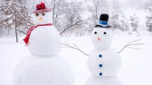 Maak de mooiste sneeuwpop en win een prijs