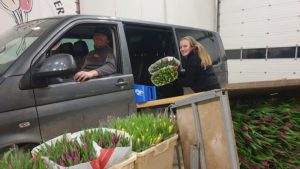 Tulpen Drive Thru geopend voor Valentijnsdag
