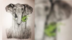 Schilderijen en tekeningen in De Etalage