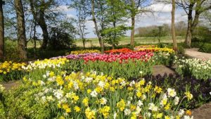 Bijna 100 gedichten ingezonden voor Poldertuin