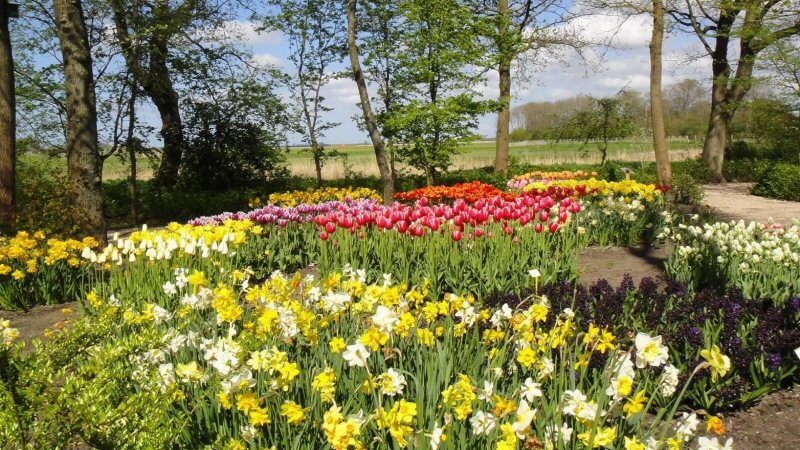 Bijna 100 gedichten ingezonden voor Poldertuin