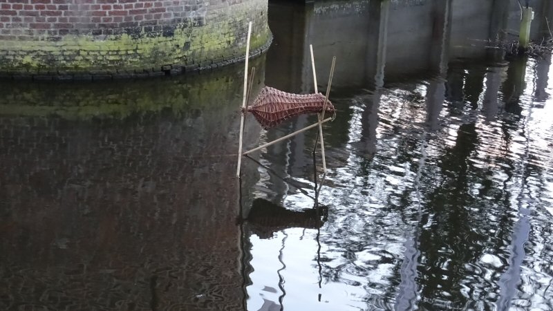 Eendenbroedkorf in Slotgracht Schagen
