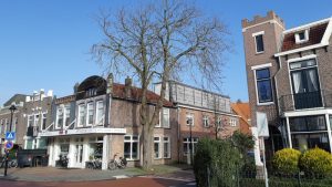 Zieke boom in Landbouwstraat gaat weg