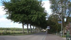 Inrichting nieuwe woningwijk Bogtmanweg in Tuitjenhorn