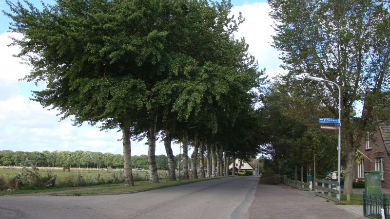 Inrichting nieuwe woningwijk Bogtmanweg in Tuitjenhorn