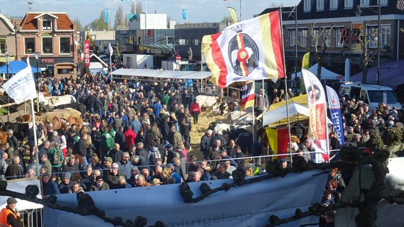 Toch een beetje Paasvee op Noordkop Centraal