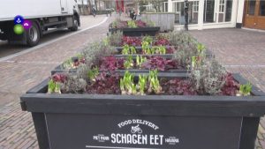 Horeca in de bloemetjes gezet