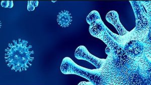 Noordkop heeft niet meer hoogste infectiegraad