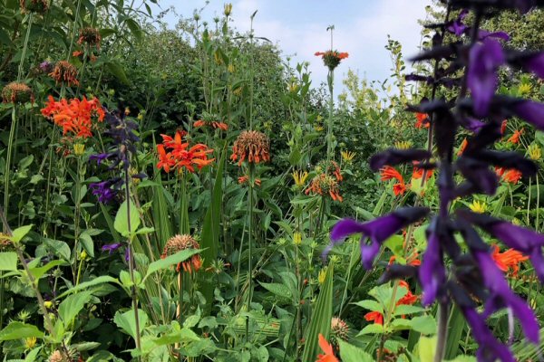 Volop lente in de Couwenhof