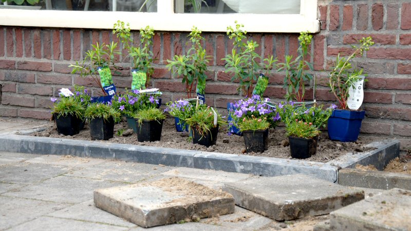 Schagen doet mee met NK Tegelwippen