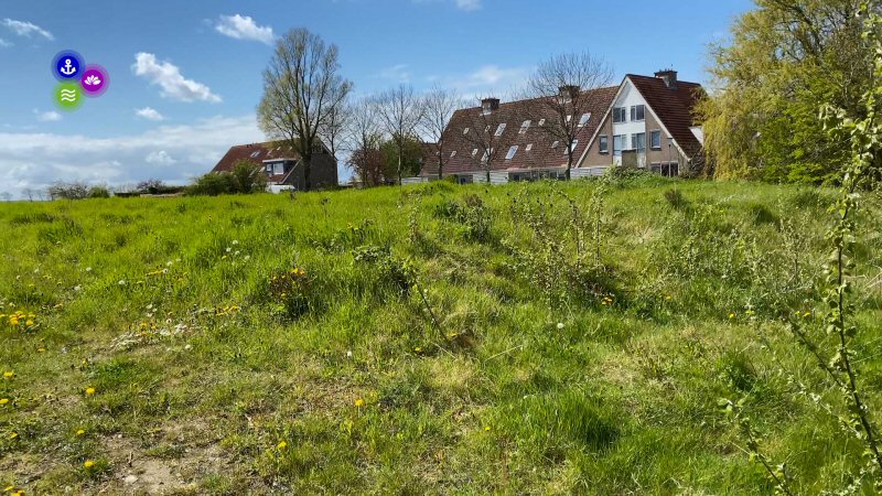 De Nijs: startershuizen Rode Kool niet haalbaar